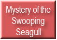 Mystery of the Swooping Seagull