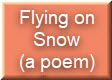 Flying on Snow