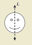 26d.png