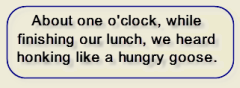 22.png