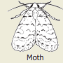 12a.png