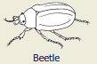 12c.png