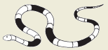 13b.png