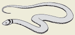 13c.png