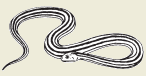 13d.png