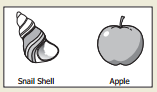 18b.png