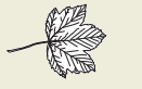 19a-.png