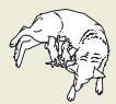 23c.png