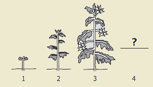 18.png
