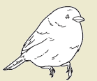 39a.png