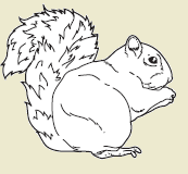 39b.png
