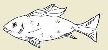 39c.png