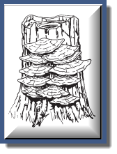 23.png