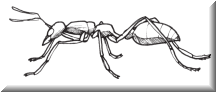 37a.png