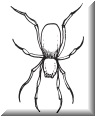 37c.png