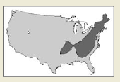 25a.png