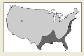 25d.png