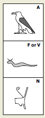 7 7.png