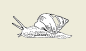 2002-29a.png