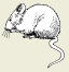 2002-29d.png