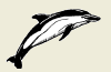 2005-33d.png