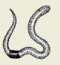 2006-5c.png
