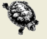 2006-5d.png