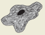 2007-40a.png