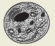 2007-40c.png