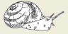 2008-24a.png
