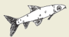 2008-24b.png