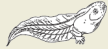 2008-24c.png