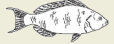 2008-24d.png