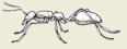 2008-37a.png