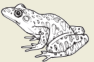 2008-37d.png