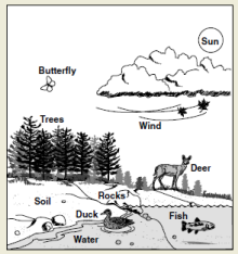 2001-10.png