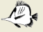 2001-5a.png