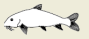 2001-5b.png