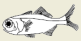2001-5d.png