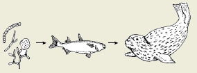 2002-15.png