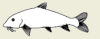 2002-39a.png