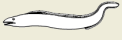 2002-39b.png