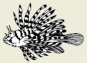 2002-39c.png