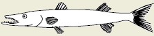 2004-35c.png