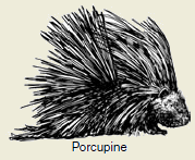 2006-1.png