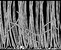 2006-30.png
