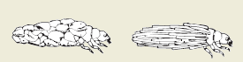 2007-15.png