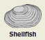 2009-2b.png