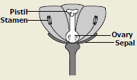 2010-20.png