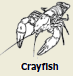 2010-7a.png